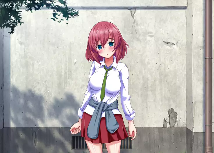 Akogare no Ano Ko ga Ore wo Kiratte Ita node Sennou Shite Koibito ni Shita