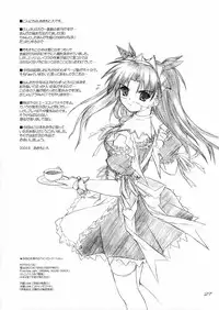 (CR36) [SEITOKAISHITSU (Akimoto Dai)] HEAT THE HEART! (Fate/stay night)