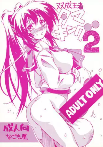 (C72) [Nagumoya (Tsumagomi Izumo)] Futanari Ouja Tamaking 2 (ToHeart2)