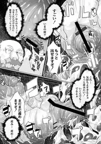 [Anthology] PLUM FE Vol. 2 [Digital]