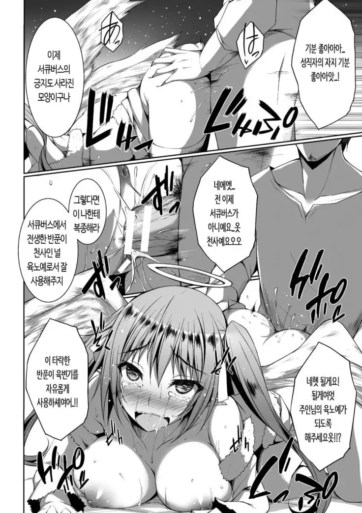 Tsubasa ga Haeta Succubus