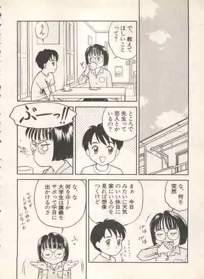 Shin Bishoujo Shoukougun 4 Houou hen