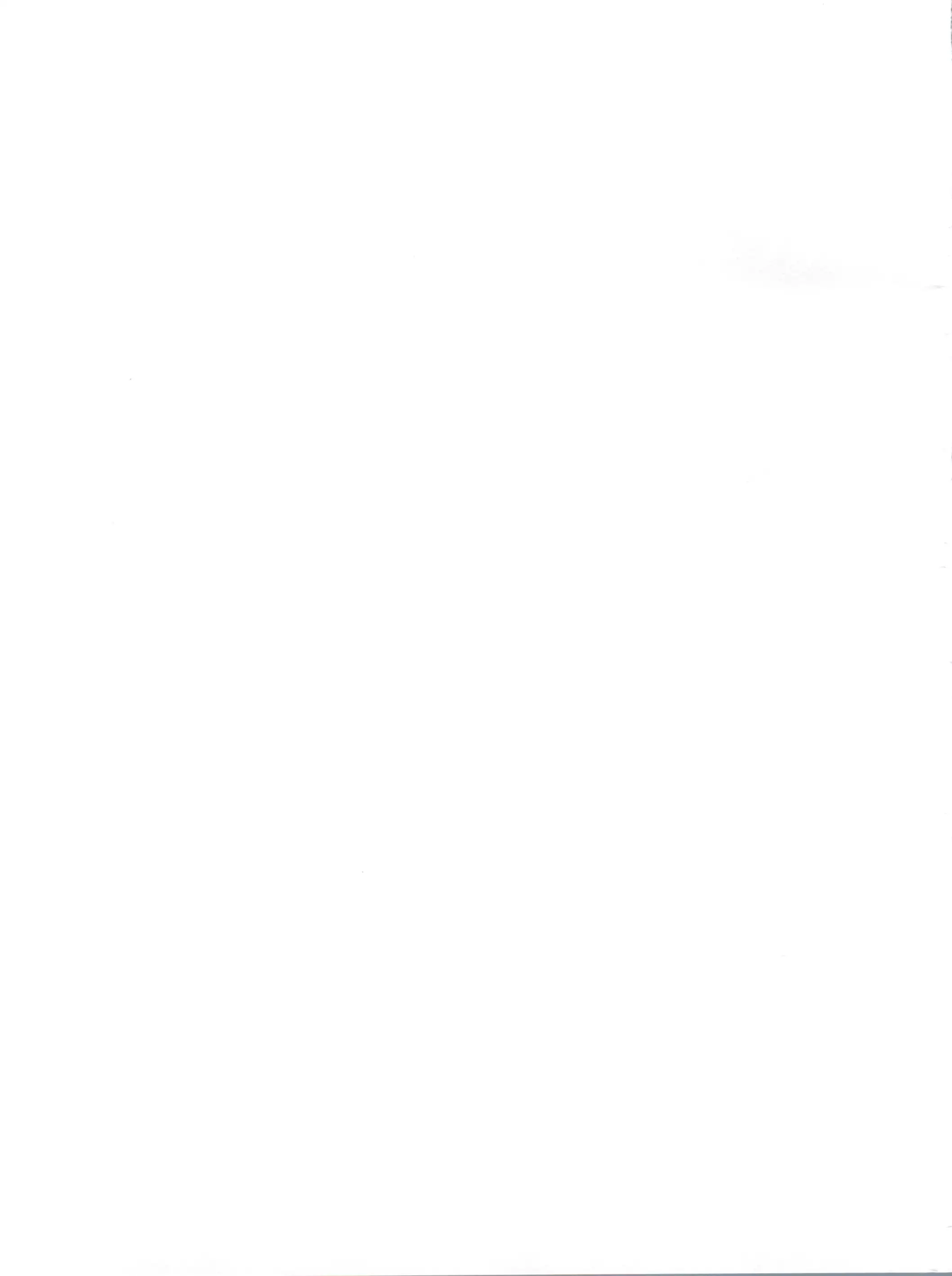 Special Kimigabuchi 2000 Summer