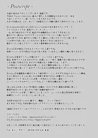 [FONETRASON (Ryutou)] Shield Knight Elsain ExtraCollection [Digital]