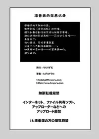 (Puniket 27) [Chi-Ra-Rhyzhm (Hidaka Toworu)] Rinne-chan no Maintenance Note (Chousoku Henkei Gyrozetter) [Chinese] [巫毒汉化组]