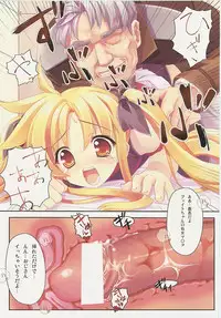 (C73) [STUDIO HIMAWARI (Himukai Kyousuke)] Kanzen Choukyou Fate Shiki (Mahou Shoujo Lyrical Nanoha)