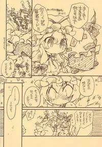 (Kouroumu 5) [Hinaprin (Ikuta Takanon)] Toriko Jikake no Orange. (Touhou Project)