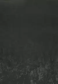 (SC60) [Bronco Hitoritabi (Uchi-Uchi Keyaki)] Otome Ninpouchou Shoujo Sange (Senran Kagura)