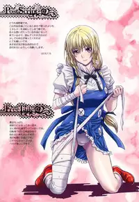 (C88) [STUDIO PAL (Nanno Koto)] Other Zone 5 ~Nishi no Majo~ (Wizard of Oz)