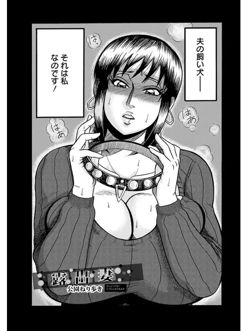 エンジェルクラブMEGA Vol.7