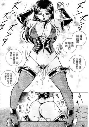 Reijou Maiko ~Kyuuke no Hien~