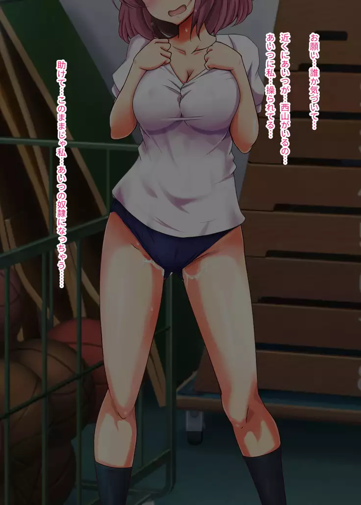 Akogare no Ano Ko ga Ore wo Kiratte Ita node Sennou Shite Koibito ni Shita