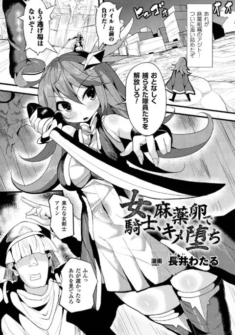 2D Comic Magazine Sanran Acme Heroines Vol. 1