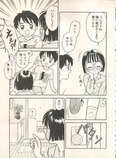 Shin Bishoujo Shoukougun 4 Houou hen