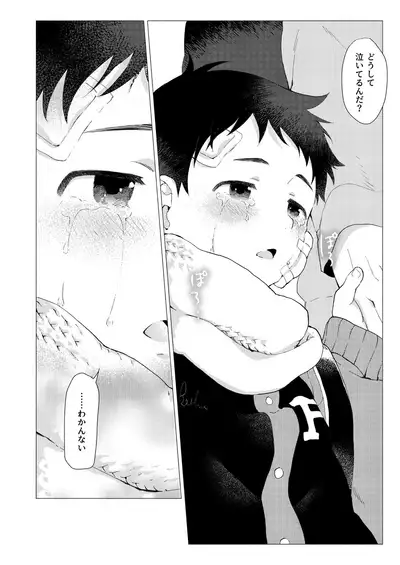 Sore wa Moroku, Utsukushikatta.