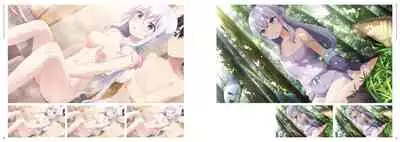 Neko to Wakai Seyo! Visual Fanbook