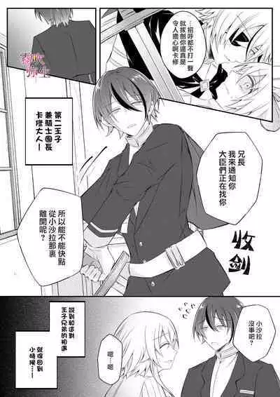 Dekiai Kei Yandere Kyoudai Ouji wa Itoshi no Shinkan Mazoku Ochi Sasetai | 溺愛係病嬌王子兄弟想讓心愛的神官墮落成魔族