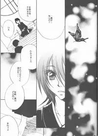 (C73) [Utsumuki Garden (Aotsuki Kakka)] Sputnik (Bleach)