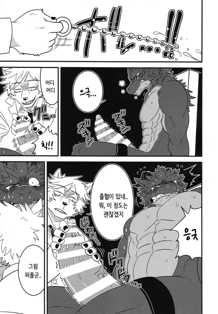 You are My Experimental Dragon | Kimi wa Boku no Jikken Ryu