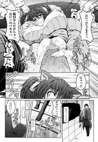 [Yoshida Inuhito] Siskano