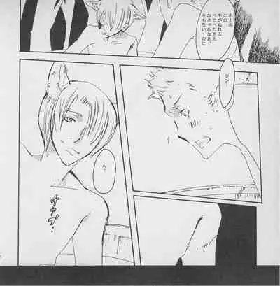 深い森の影から