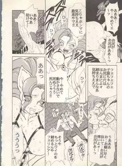 Shin Bishoujo Shoukougun 4 Houou hen