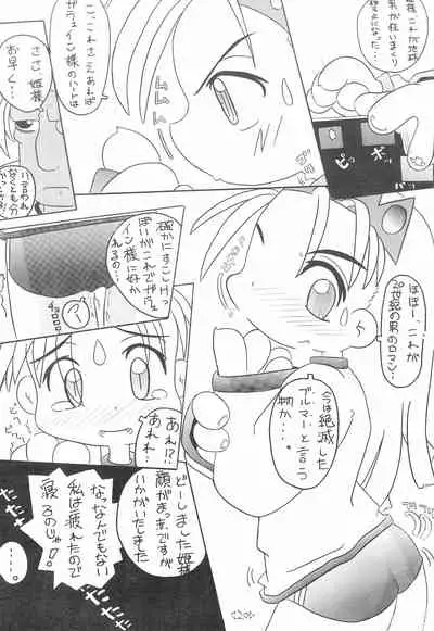 CAPCOM CONSUMER COLLECTION