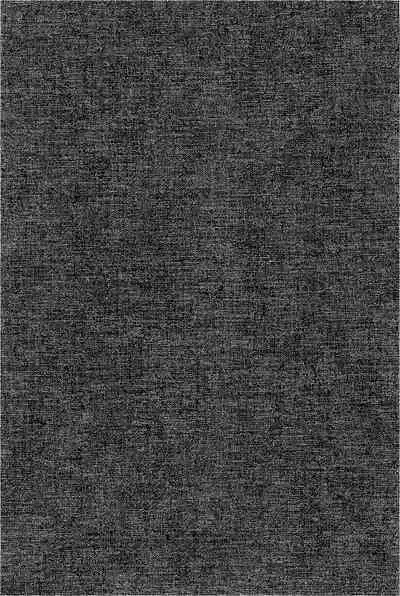 (C101) [Manmanya (Titiduki)] Ryougen no Hi (Fate/Grand Order) [Chinese] [黎欧出资汉化]