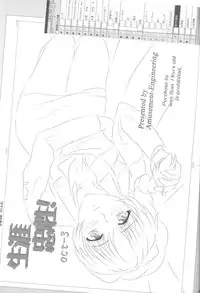 (C69) [Amusement Engineering (Serizawa Houri)] Shougai Chuusei act-3 (Full Metal Panic!)