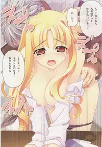 (C73) [STUDIO HIMAWARI (Himukai Kyousuke)] Kanzen Choukyou Fate Shiki (Mahou Shoujo Lyrical Nanoha)