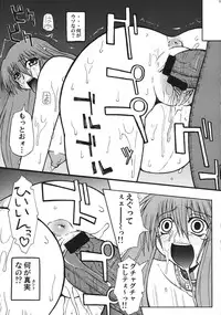 (C66) [Shuudan Bouryoku (Various)] File/12 Record of Aldelayd - EXHIBITION DX4