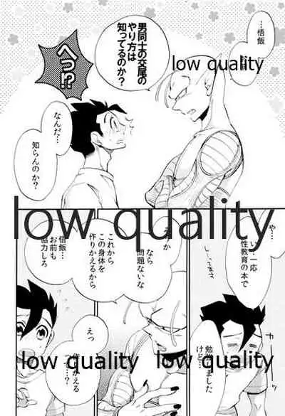 [ROKUJO DAYS (Yoshidaya Roku)] Koi Suru Shinkaron (Dragon Ball Z)