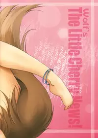 (COMIC1☆2) [Hina prin (Ikuta Takanon)] Ookami no Chotto H na Hanashi [Wolf and a Little Dirty Chat] (Ookami to Koushinryou [Spice and Wolf]) [English] ==Strange Companions==