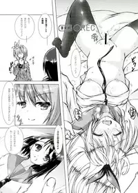 (C83) [Hajimari to Owari (Korikku)] Rakkun wa Dare no Mono? (Nisekoi)