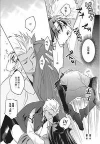 (HaruCC19) [Nonsense (em)] Alternative Gray (Fate/stay night, Fate/hollow ataraxia) [Chinese]
