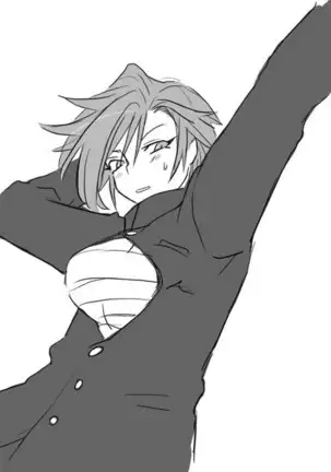 Seitenkango. Shinyuu to Ch. 1-8