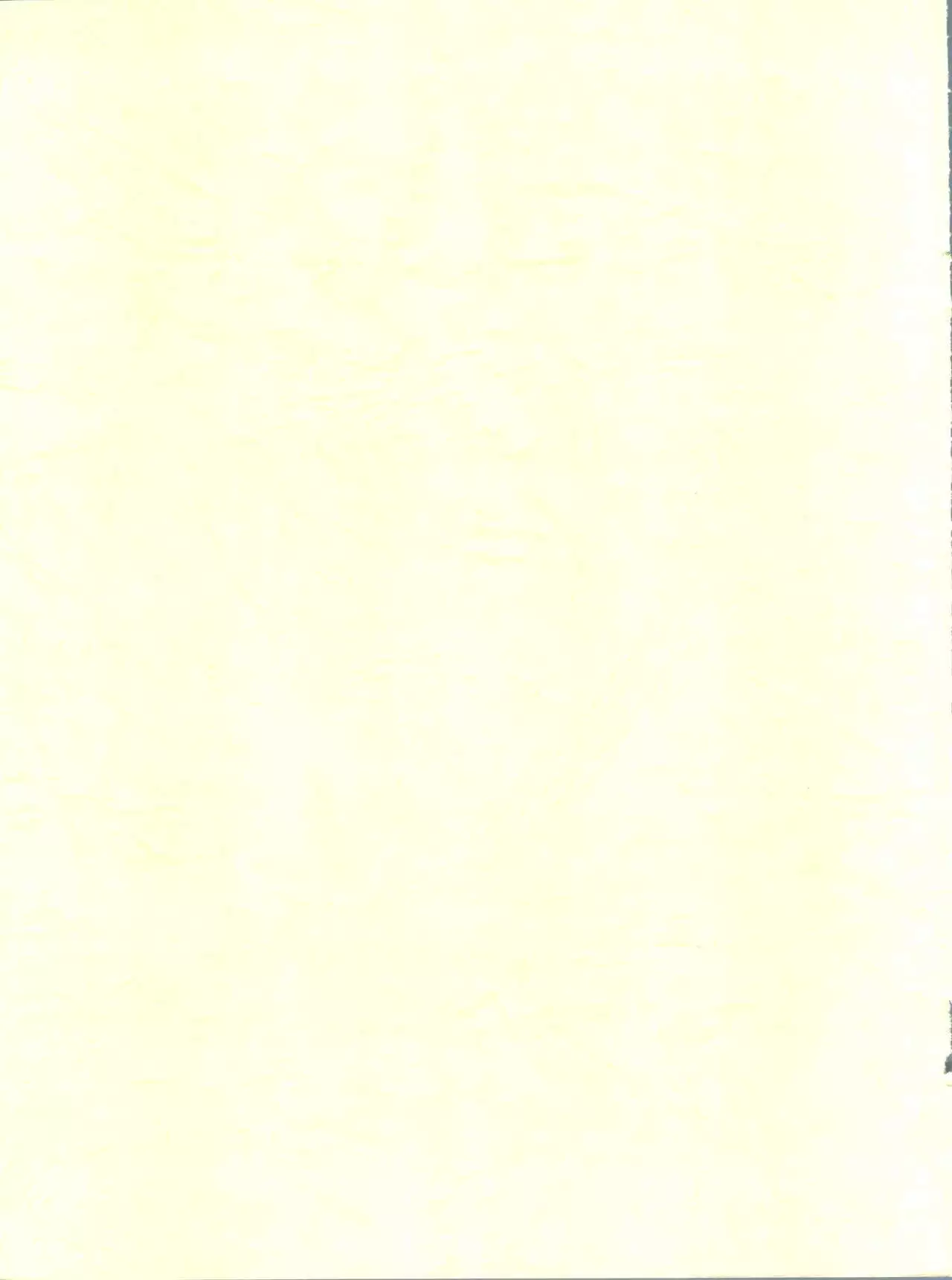 よいこのらたいぶっく2