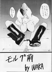 (C56) [Tail of Nearly (Various)] Shadow Defence 17 (Street Fighter)