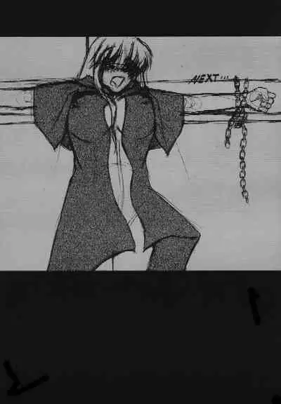 HOOLIGANISM File/10 RECORD OF ALDELAYD ExhibitionDX2