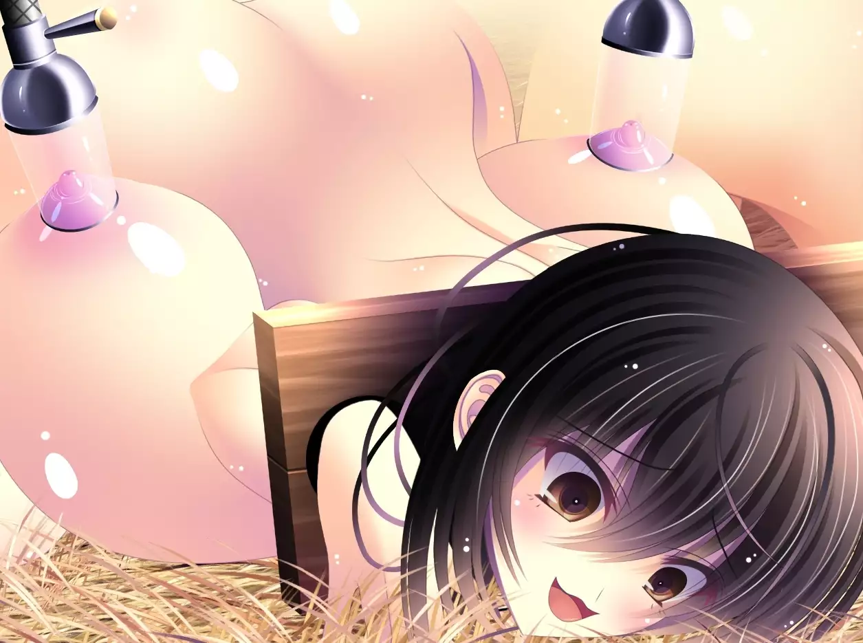 yabure, bakunyu chochichi naedoko ni, benki ni Daraku To sa reru hiroin!~ Hime ○ setsuna ~