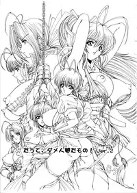 [Megami Kyouten] Datte Dame Ningen da Mono! Ver.2 (Dead or Alive)