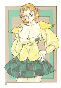 (C56) [Rippadou, Okachimentaiko Seisakushitsu, ALPS (Ootake Pashio)] Burajiru Gorippa Colors (Various)