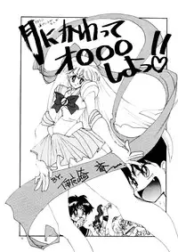 (C45) [Chou Anekikai & Studio Terion (Various)] Chou Aneki (Bishoujo Senshi Sailor Moon)