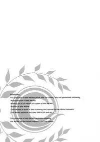 (SC2017 Autumn) [BERRY BAGEL (Kanekiyo Miwa)] Angel Number 333 (Fate/Grand Order) [Chinese] [新吾个人汉化]