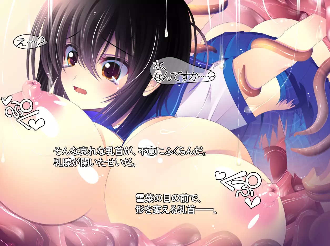 yabure, bakunyu chochichi naedoko ni, benki ni Daraku To sa reru hiroin!~ Hime ○ setsuna ~