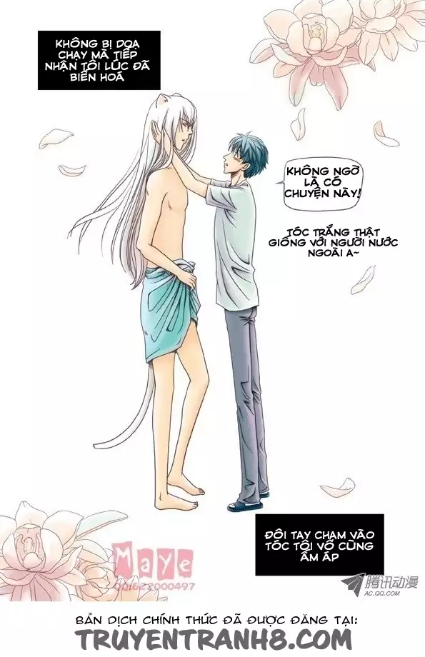 Tình Yêu Tuyệt Vời