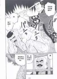 [Gengoroh Tagame][田龟源五郎] Shirogane-no-Hana The Silver Flower vol.3[银之华] [Chinese]