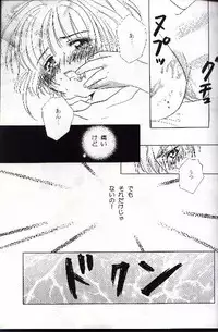 [Abe Ryu] [2000 Summer] Wolf and Cherry