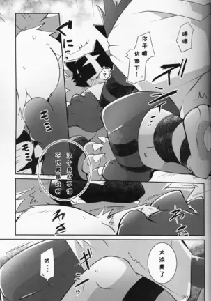 Tougi-ba no Make Neko | 斗技场的败猫