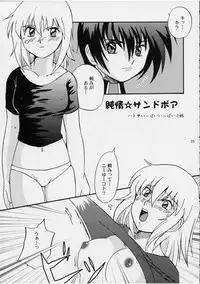 (SC19) [Koutatsu Dennou Koushi (Gunblaster Itou)] Ark Angel (Gundam Seed)